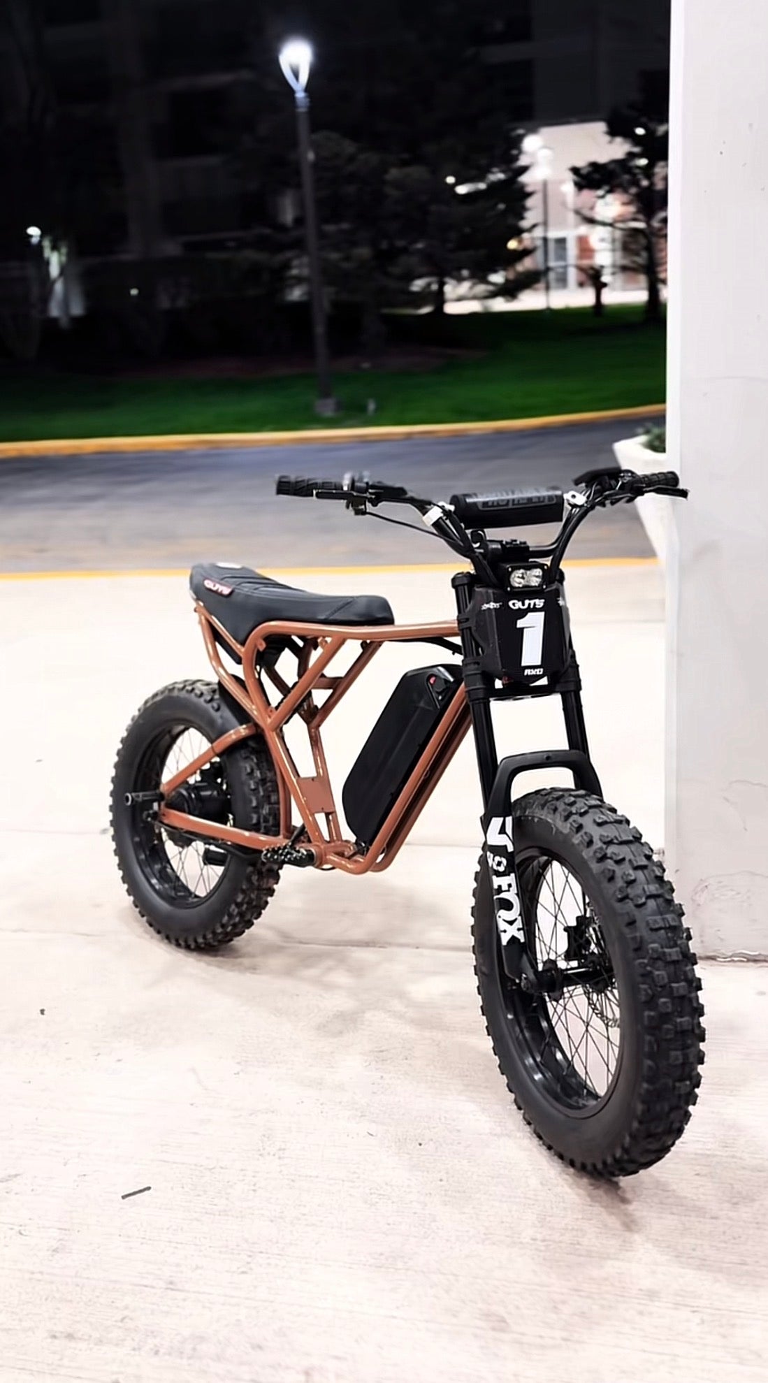 Ridstar frame guards (pre order)