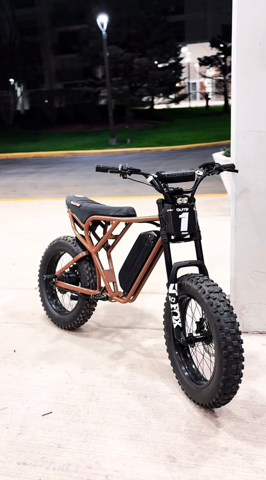 Ridstar frame guards (pre order)